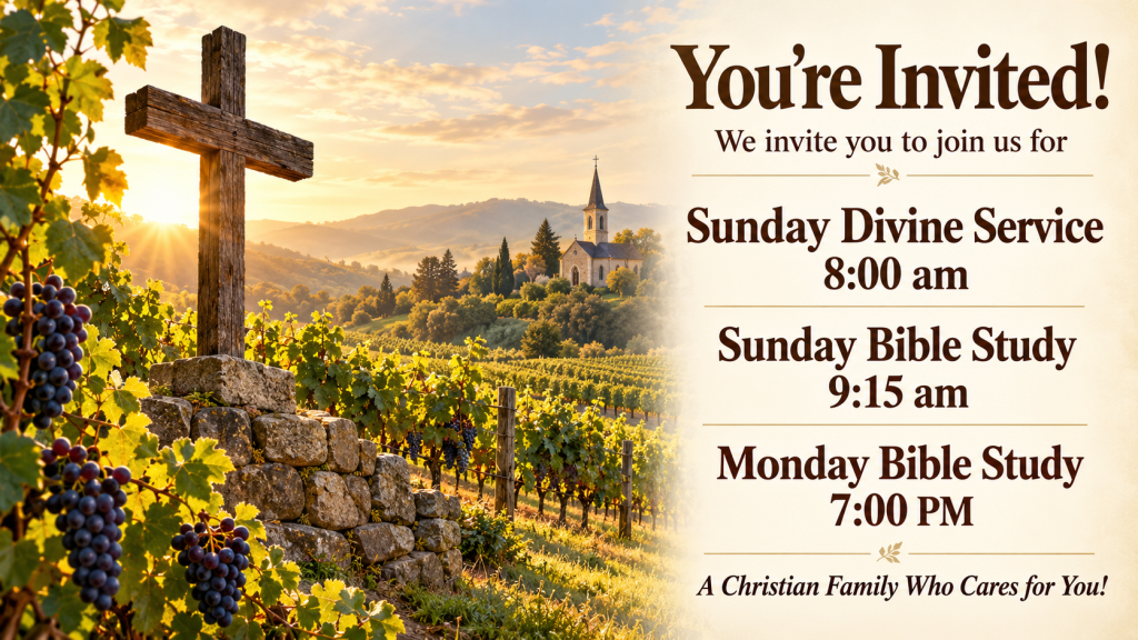 Cross in a sunlit vineyard beside an invitation to Sunday Divine Service at 8:00 am, Sunday Bible Study at 9:15 am, and Monday Bible Study at 7:00 PM.